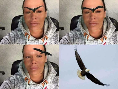 有人把鹰的图像P上去，与曼蒂新纹的眉毛配在一起。