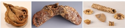 考古人员在唐代阿斯塔那古墓发现的馄饨、饺子和形态精巧的各色点心（由左至右）