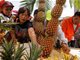 台湾凤梨批发价大幅下跌 水果商称大陆人不买台独水果