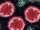 全球新型冠状病毒科研扫描:未发现变异 尚无特效药