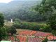 广州农业公园成市民休闲旅游“网红”打卡点