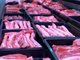 山东一进口冷冻猪肉制品新冠检测呈阳性