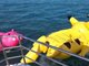 游客在三亚潜水自拍被收300元取景费 涉事公司承认违法