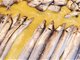 海关总署恢复台湾地区冰鲜白带鱼、冻竹荚鱼输入